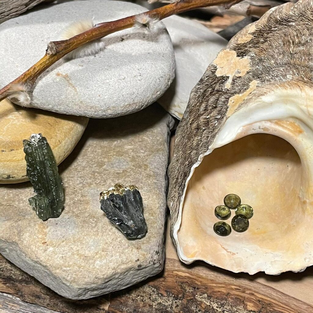 a group of rocks and shells