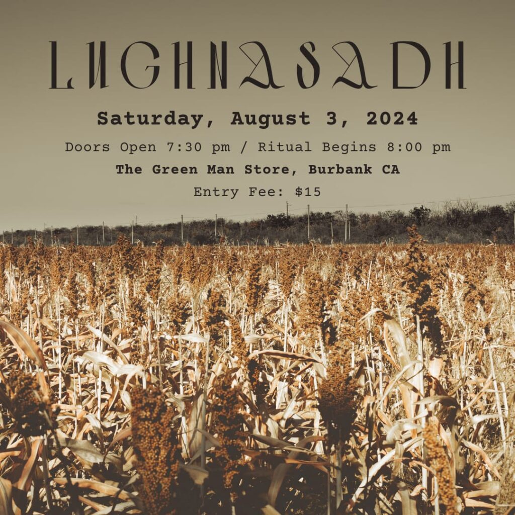 a field of corn with text