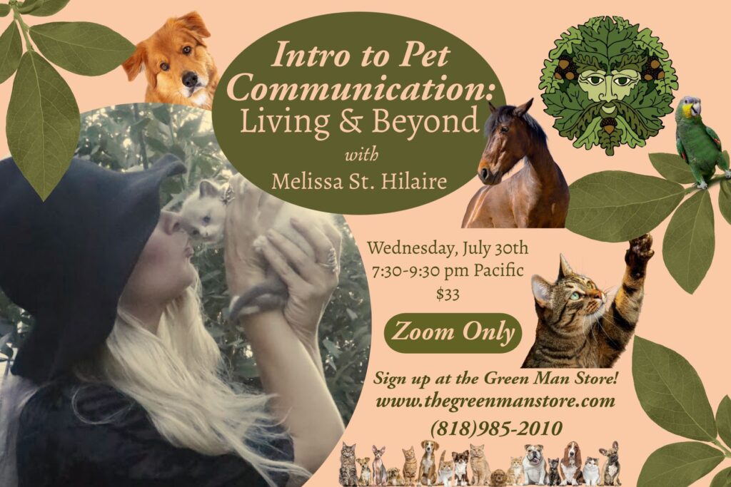 A woman holding a cat and a dog