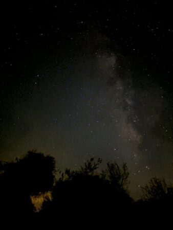 A night sky with stars and trees