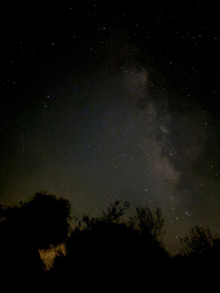 A night sky with stars and trees