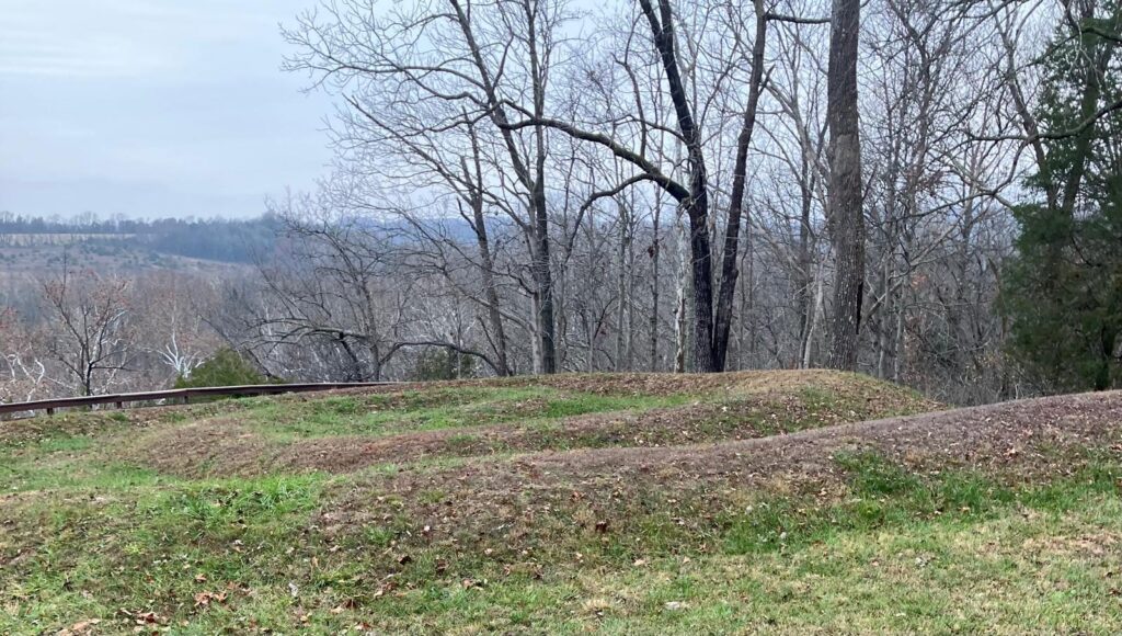 A grassy hill with trees in the background