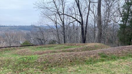 A grassy hill with trees in the background