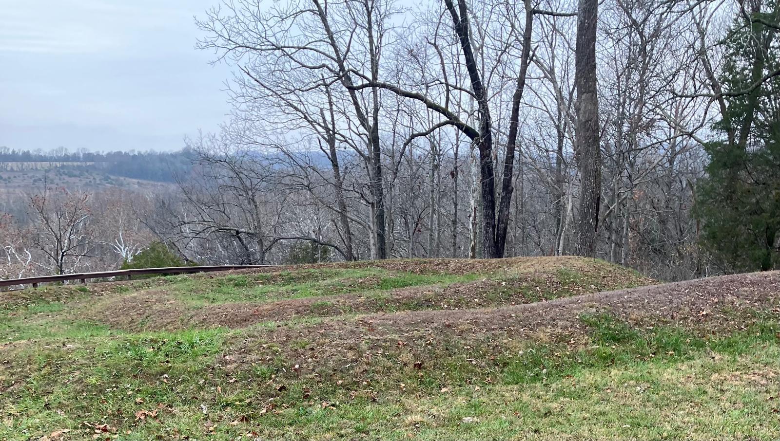 A grassy hill with trees in the background