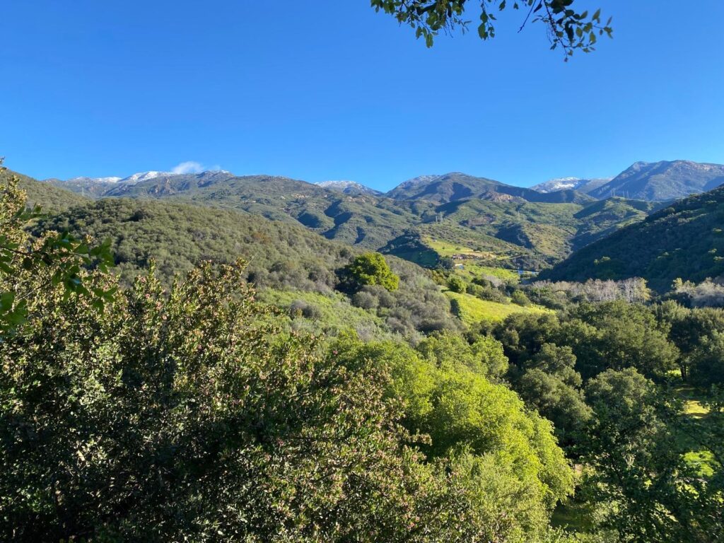 A landscape of a valley with trees and mountains