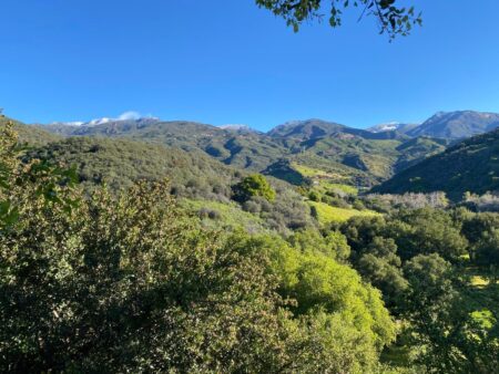 A landscape of a valley with trees and mountains