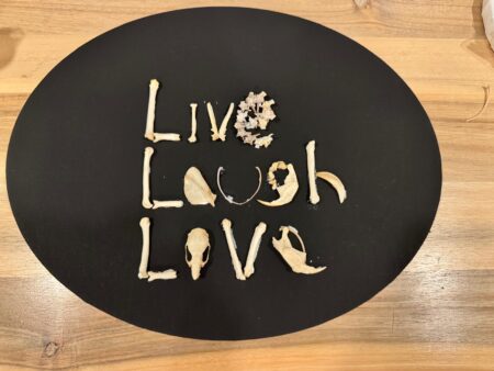 A black circle with words and bones on it