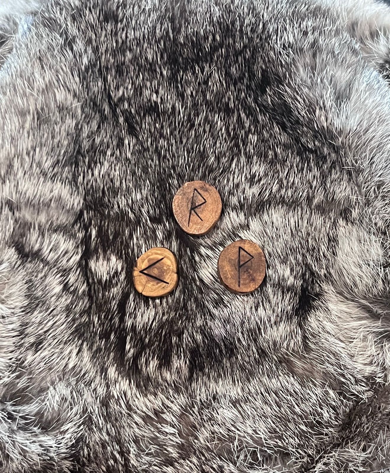 A group of round wooden runes on a furry surface